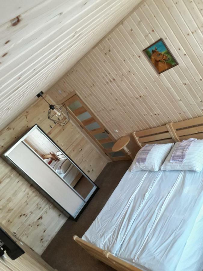 Гостинний Двір Євгенія Hotel Mizhhirya  Exterior photo